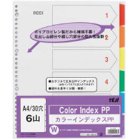 テージー カラーインデックスＰＰ Ａ４縦３０穴１０山 １０山 １パック