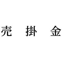 シヤチハタ Ｘスタンパー科目印セット インク色黒／軸色シルバー 幅